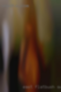 East flatbush swingers went to school upstate n near Destrehan.