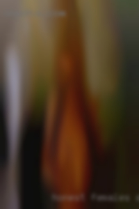 Honest females about and horny with yourself near Kansas City.